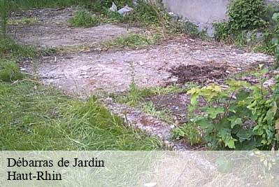 Débarras de Jardin Haut-Rhin 
