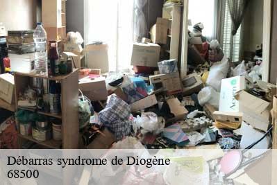 Débarras syndrome de Diogène 68500