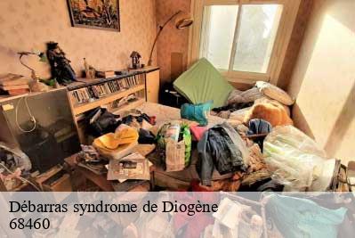Débarras syndrome de Diogène  68460
