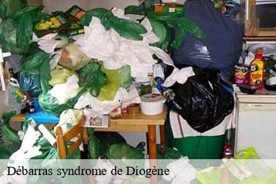 Débarras syndrome de Diogène  68460