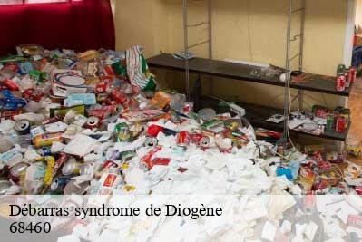 Débarras syndrome de Diogène  68460