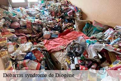 Débarras syndrome de Diogène  68460