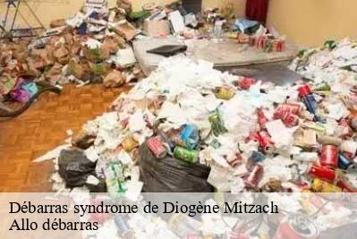 Débarras syndrome de Diogène  68470