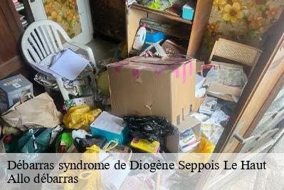 Débarras syndrome de Diogène  68580