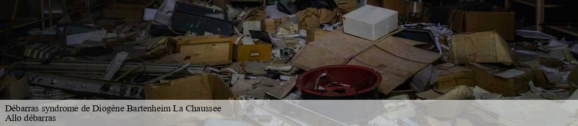 Débarras syndrome de Diogène  bartenheim-la-chaussee-68870 Allo débarras