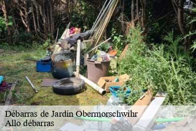 Débarras de Jardin  68420