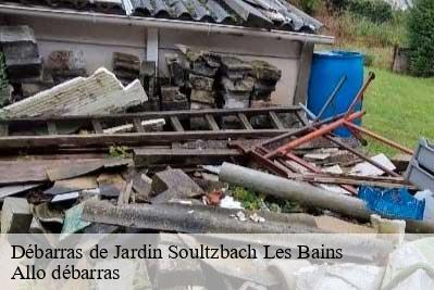 Débarras de Jardin  68230