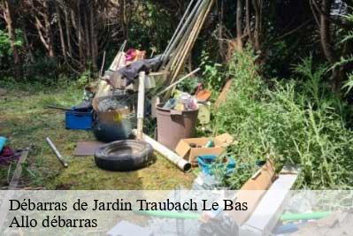 Débarras de Jardin  68210