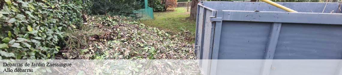 Débarras de Jardin  zaessingue-68130 Allo débarras