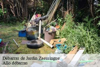 Débarras de Jardin  68130
