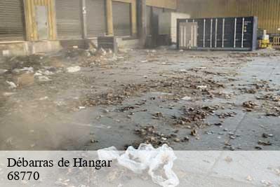 Débarras de Hangar  68770