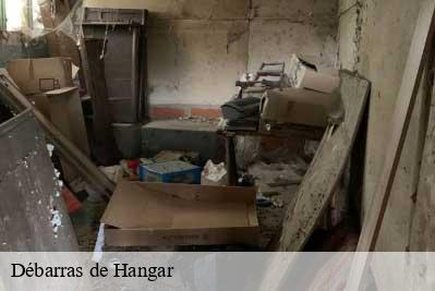 Débarras de Hangar  68770