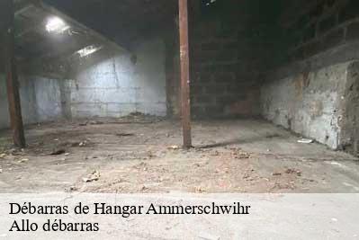 Débarras de Hangar  68770