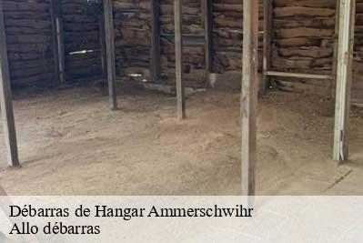Débarras de Hangar  68770