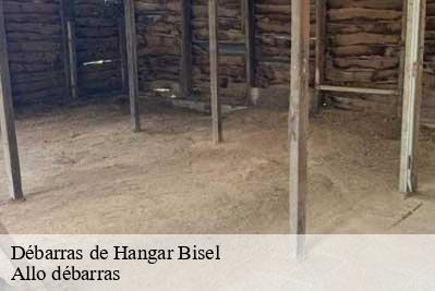 Débarras de Hangar  68580