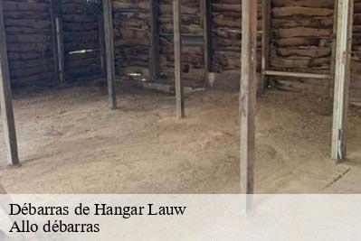 Débarras de Hangar  68290