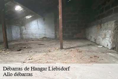 Débarras de Hangar  68480