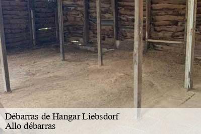 Débarras de Hangar  68480