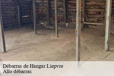 Débarras de Hangar  68660