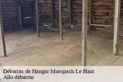 Débarras de Hangar  68640