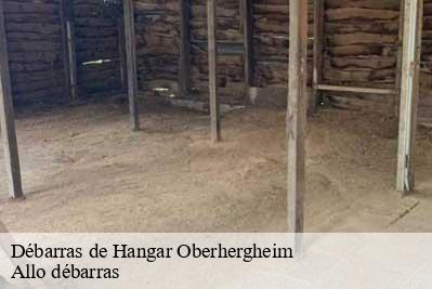Débarras de Hangar  68250