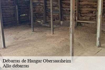 Débarras de Hangar  68600