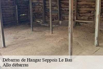 Débarras de Hangar  68580