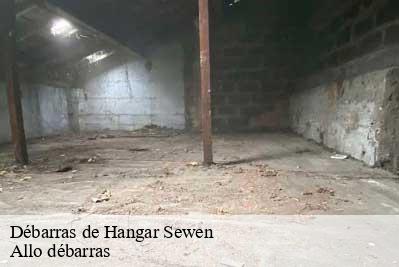 Débarras de Hangar  68290
