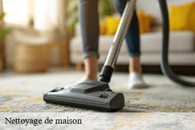 Nettoyage de maison  68770