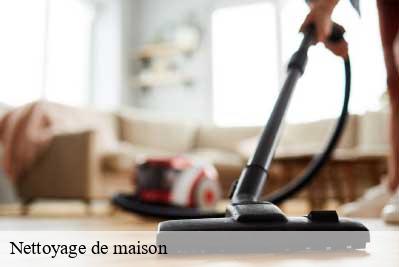 Nettoyage de maison  68770