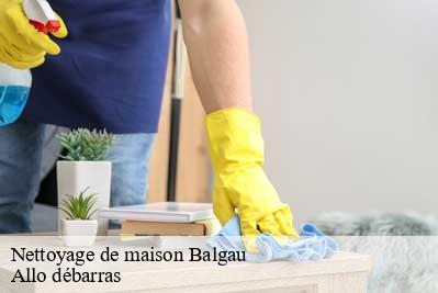 Nettoyage de maison  68740