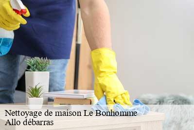 Nettoyage de maison  68650