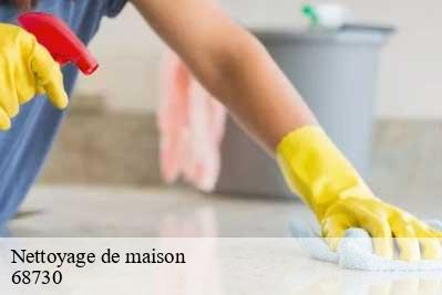 Nettoyage de maison  68730