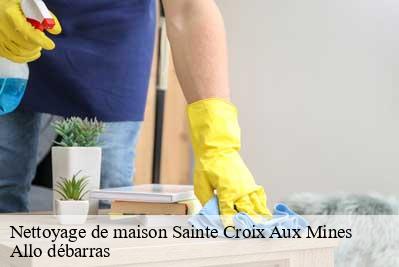 Nettoyage de maison  68160