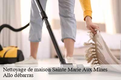Nettoyage de maison  68160