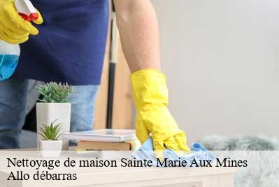 Nettoyage de maison  68160