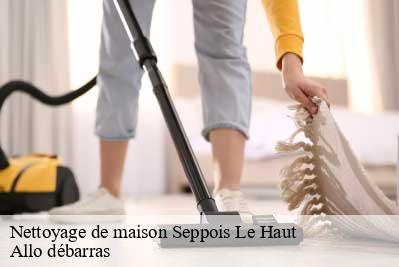 Nettoyage de maison  68580
