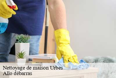 Nettoyage de maison  68121
