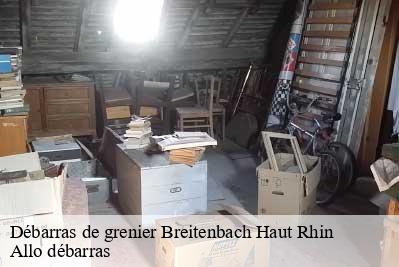 Débarras de grenier  68380