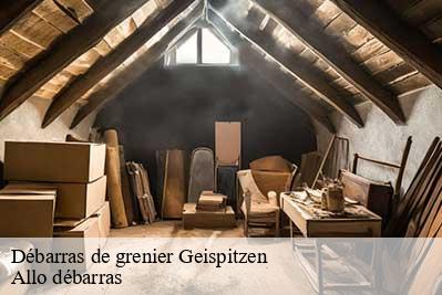 Débarras de grenier  68510