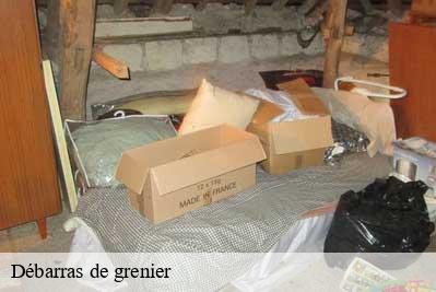 Débarras de grenier  68640