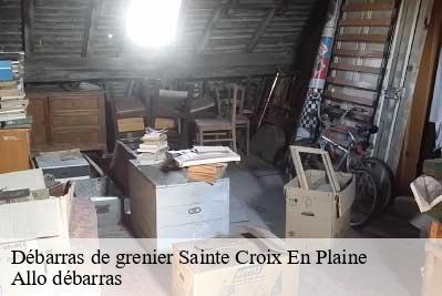 Débarras de grenier  68127