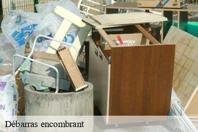 Débarras encombrant  68700