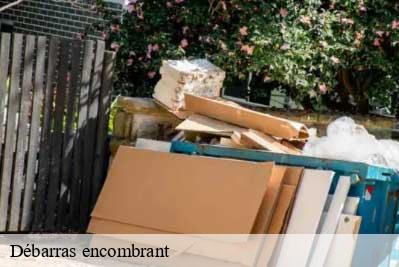 Débarras encombrant  68610